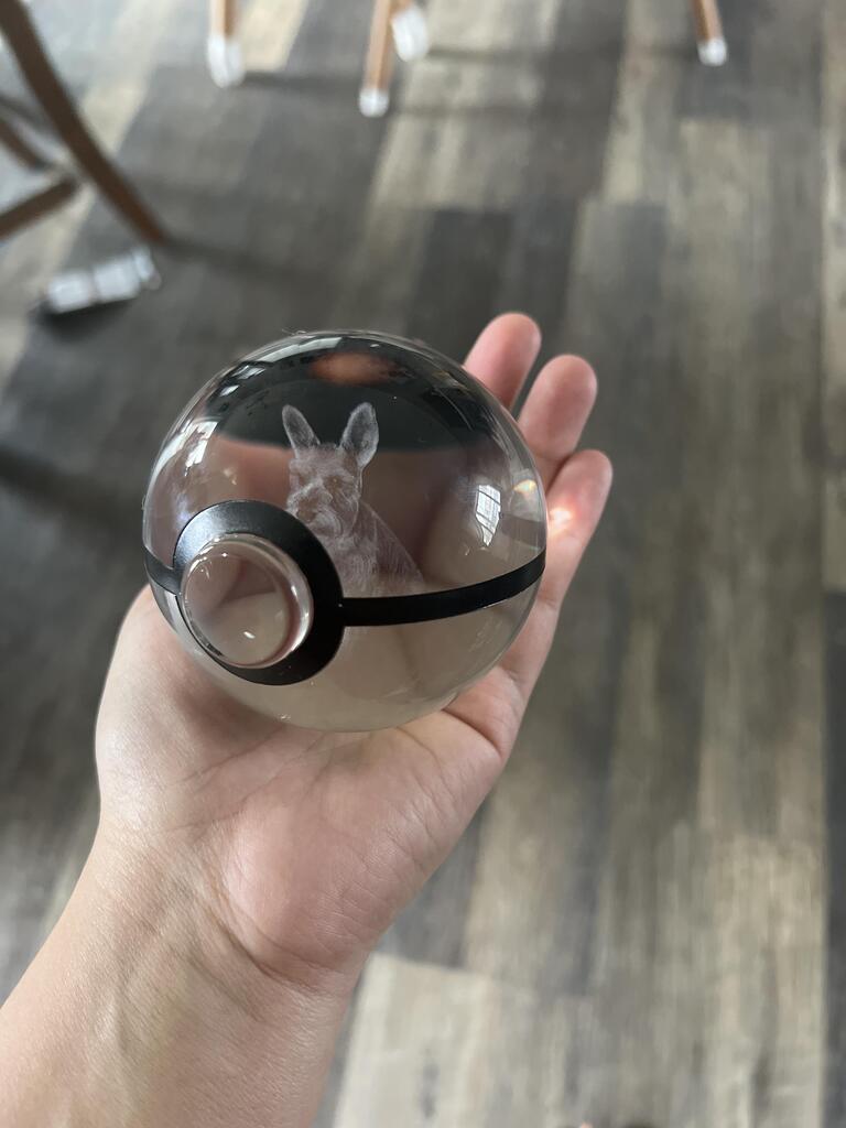 CUSTOM Pet Engraved Crystal Pokeball