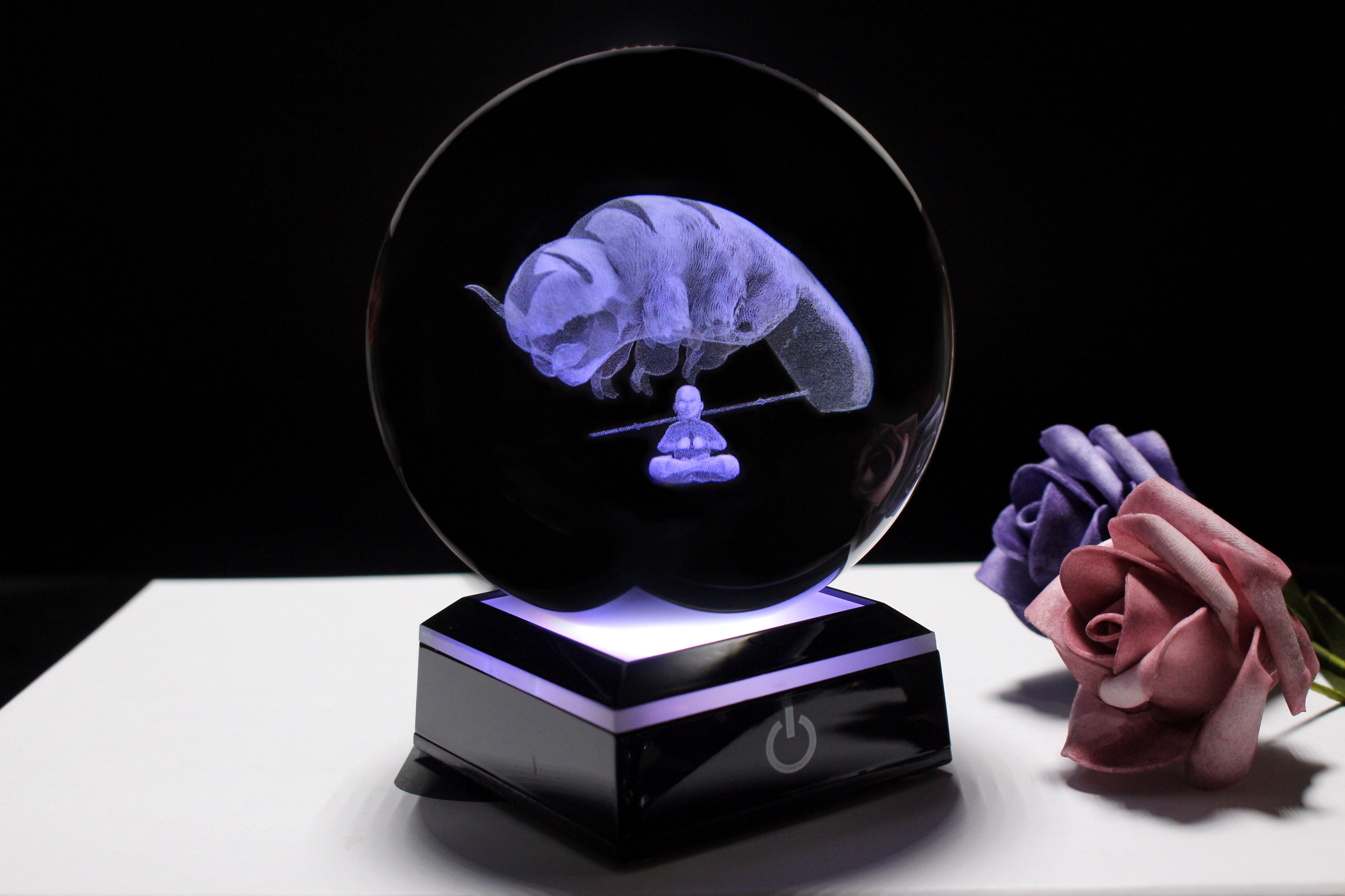Avatar Aang and Appa Engraved Crystal Orb