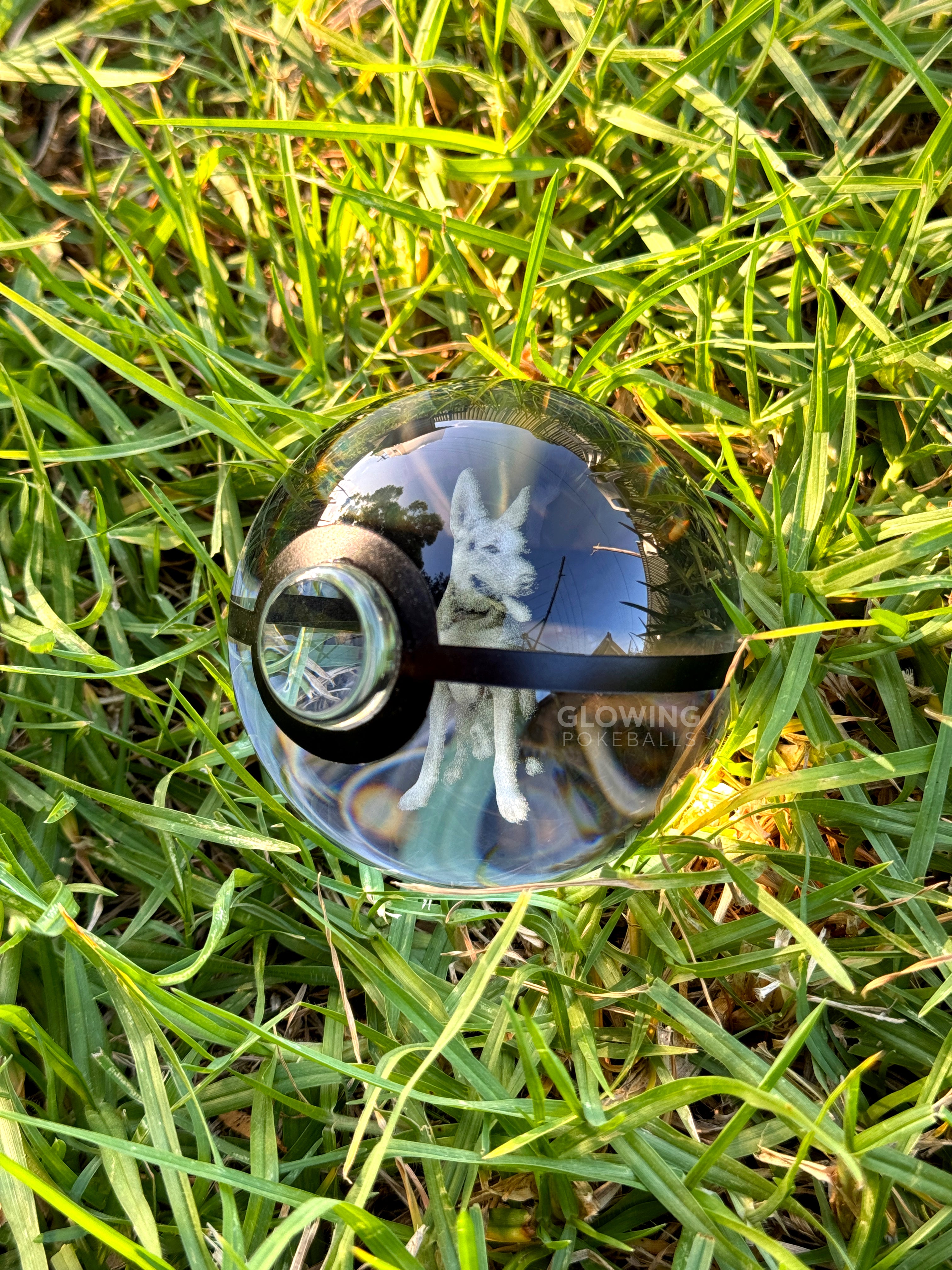 CUSTOM Pet Engraved Crystal Pokeball