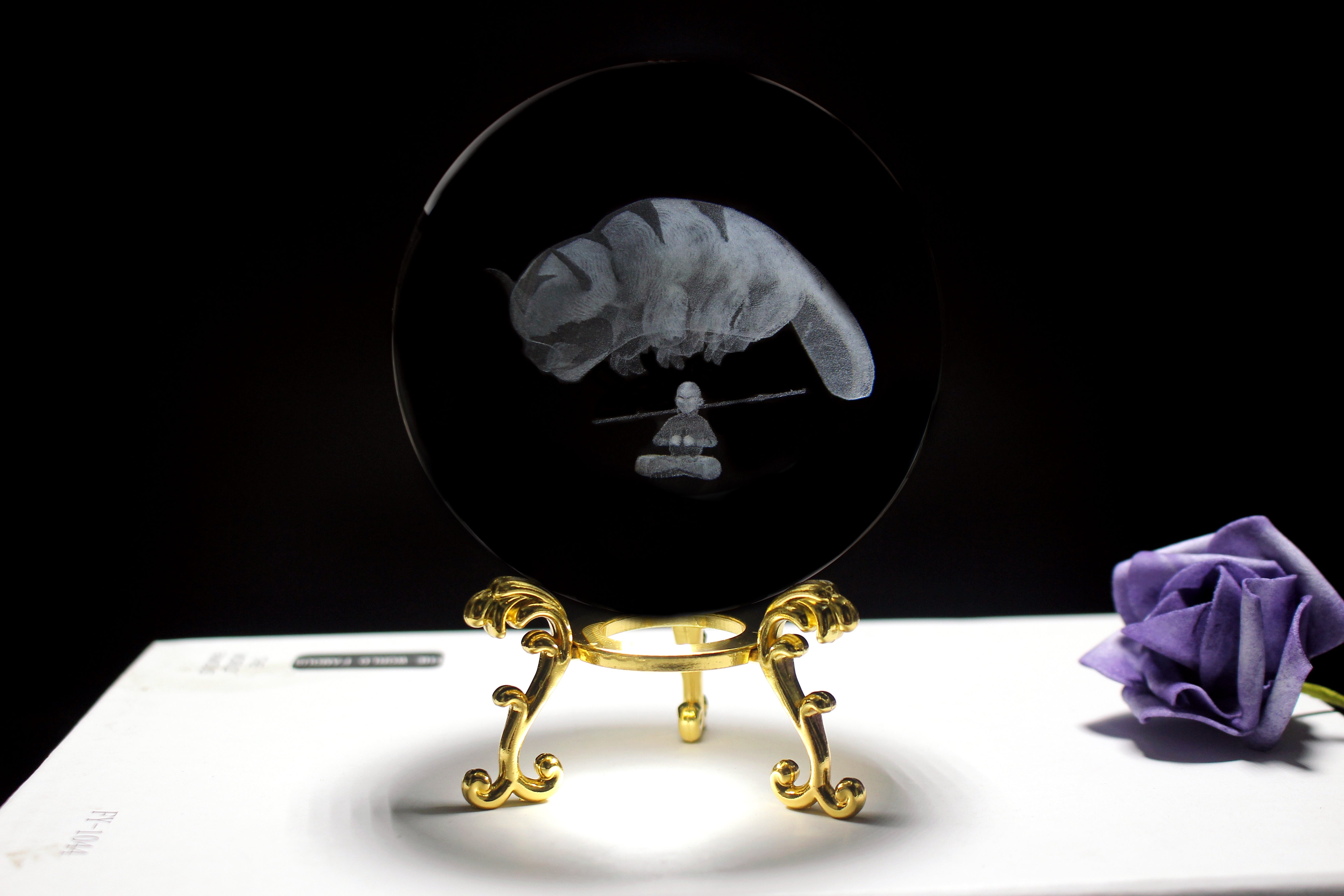 Avatar Aang and Appa Engraved Crystal Orb