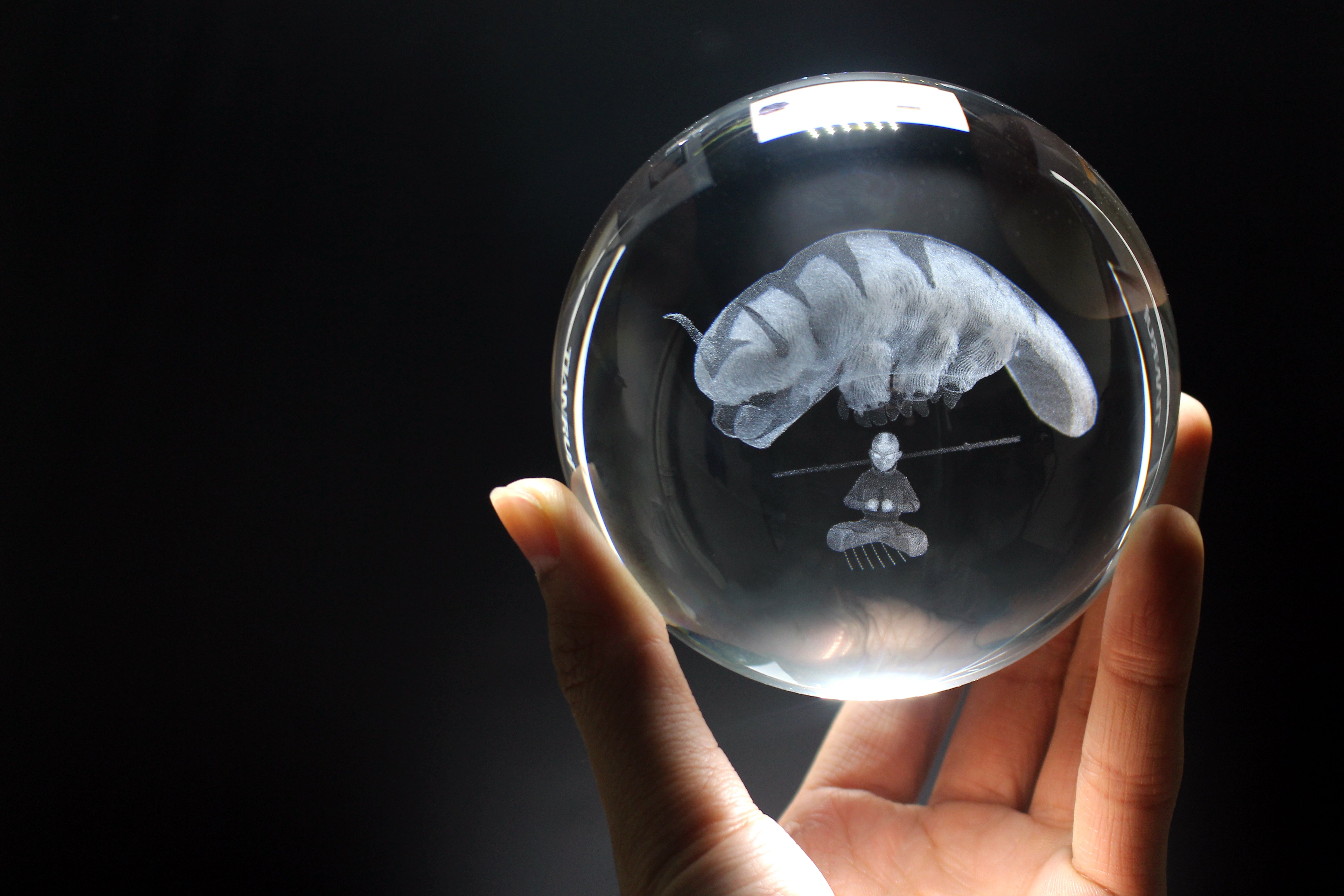 Avatar Aang and Appa Engraved Crystal Orb