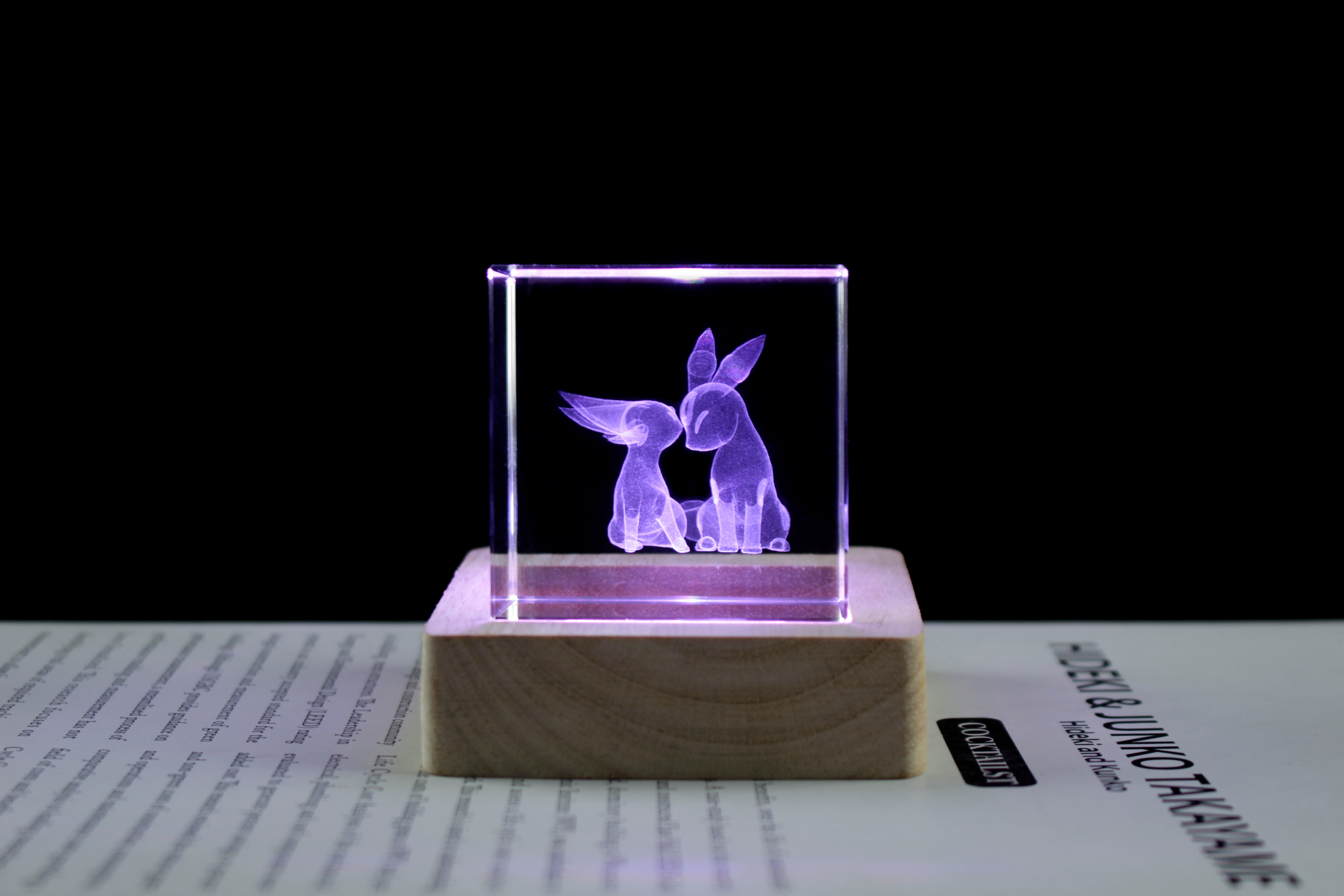 Umbreon and Espeon Crystal Cube