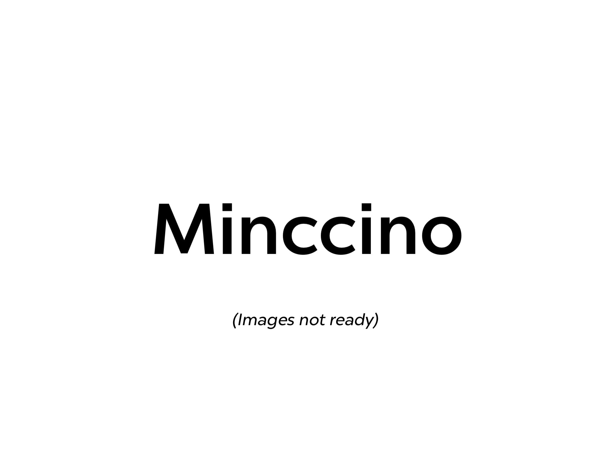 Pre-order Minccino Large Crystal Pokeball