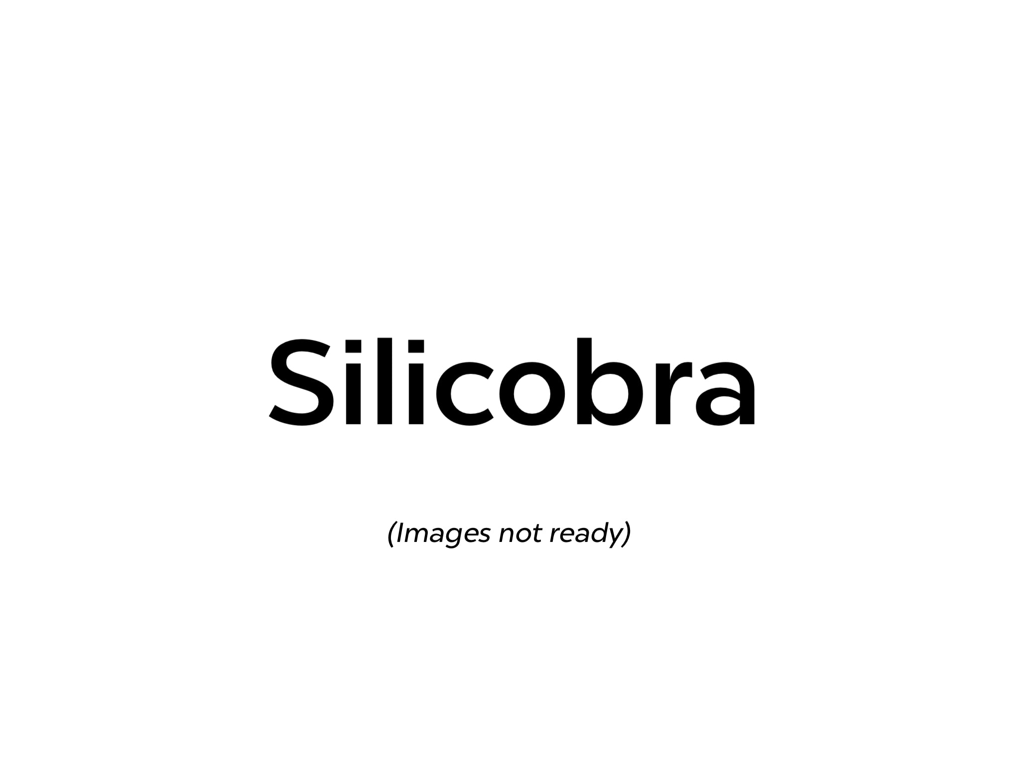 Pre-order Silicobra Large Crystal Pokeball