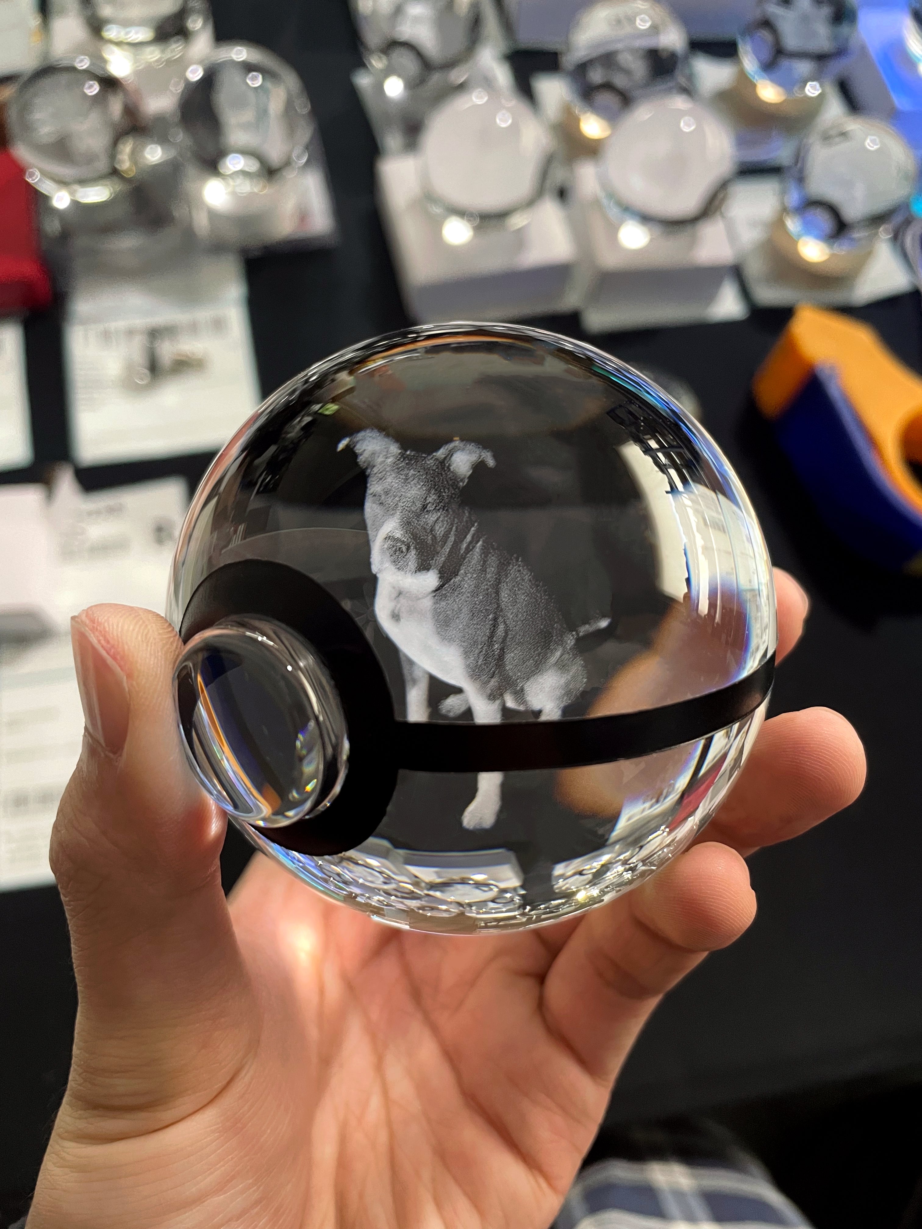 CUSTOM Pet Engraved Crystal Pokeball