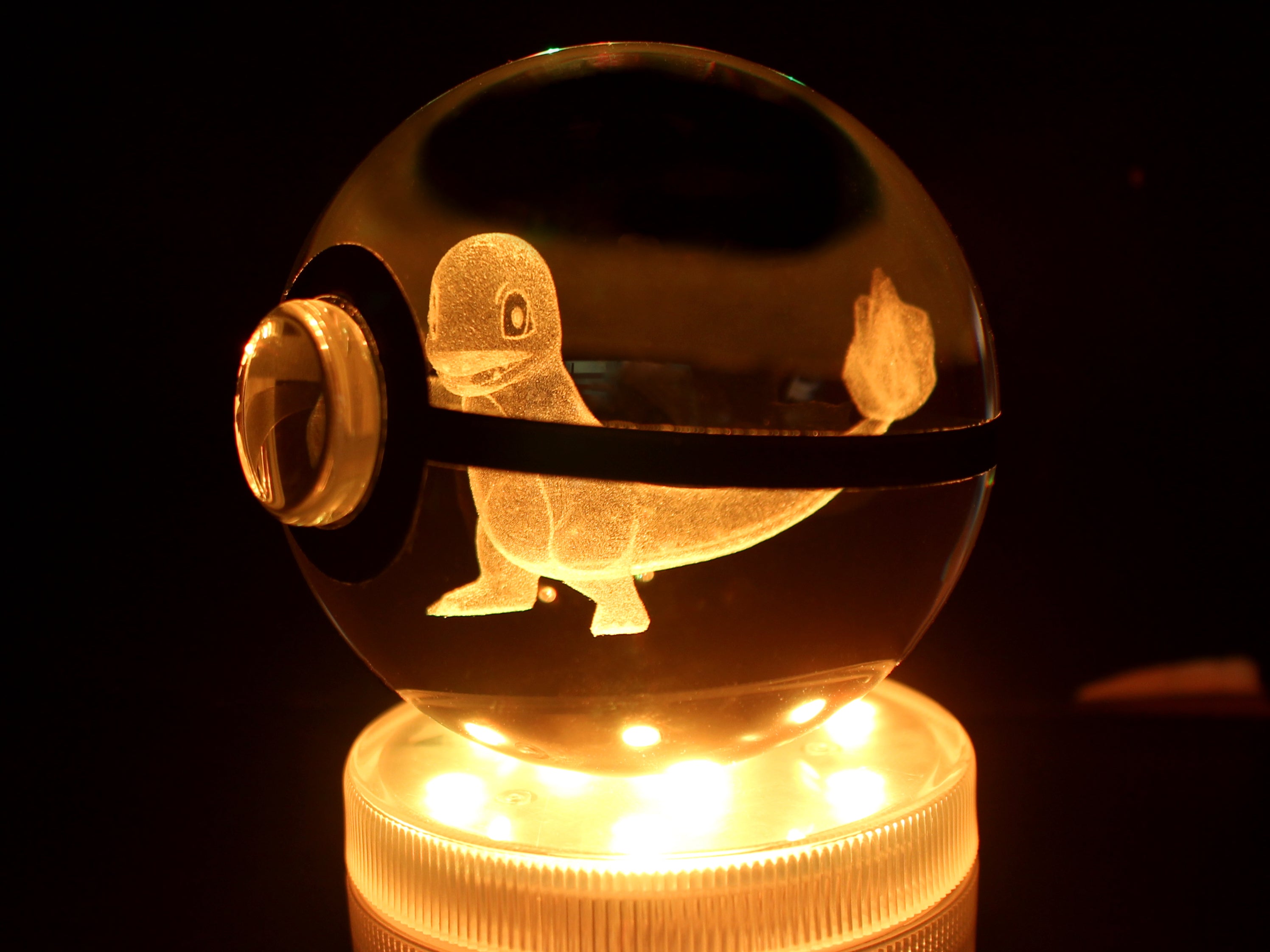 Charmander best sale pokemon ball